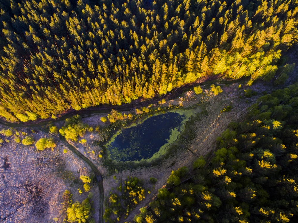 15 фото о дикой природе — самом неизведанном, что есть на земле