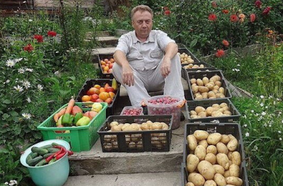 Удобрение Байкал ЭМ1, полезные рекомендации по применению Микробиологические препараты Биопрепараты для защиты растений