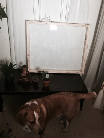 Больше света: как сделать поддельное окно в подвале - «Хорошее настроение»