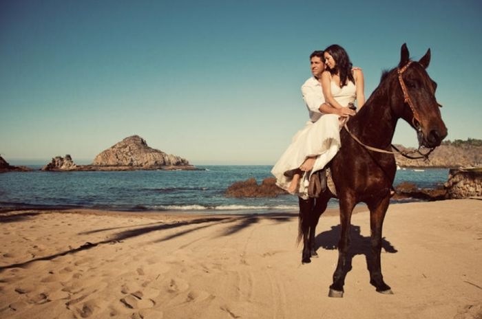 Лошадь альтернатива, свадьба