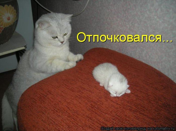   :)