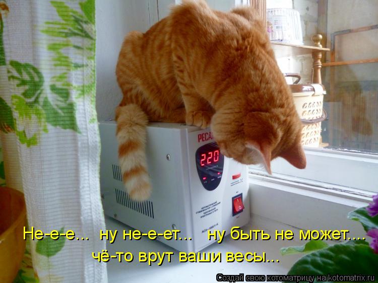 И снова котоматрица!!! И снова котоматрица!!!