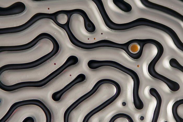 10. Феррофлюидный лабиринт Линден Гледхилл, микроскоп, фото