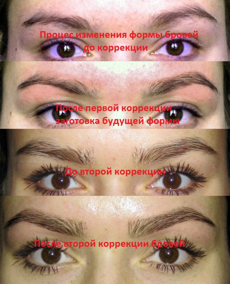 Нет бровей как исправить Жимолость съедобная - польза и вред, полезные