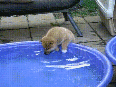  ,  ,  