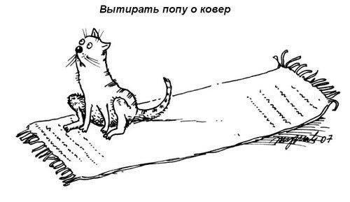Вытирать попу о ковер.