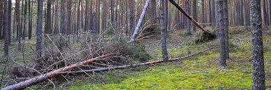 Полный список штрафов для садоводов на 2018 год Полный список штрафов для садоводов на 2018 год