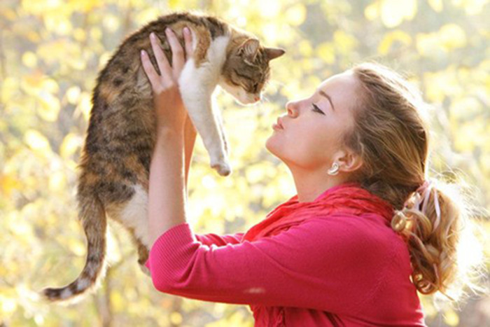  7. Укрепляется иммунитет животные, завести, коты, причины