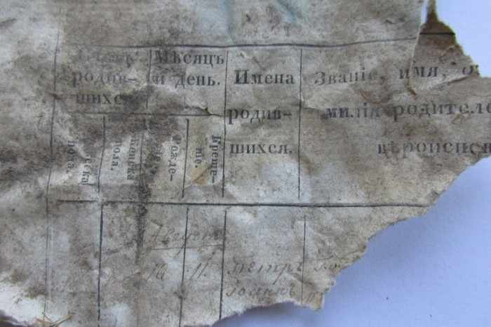 «Птичий архив» под крышей Успенского собора (48 фото)