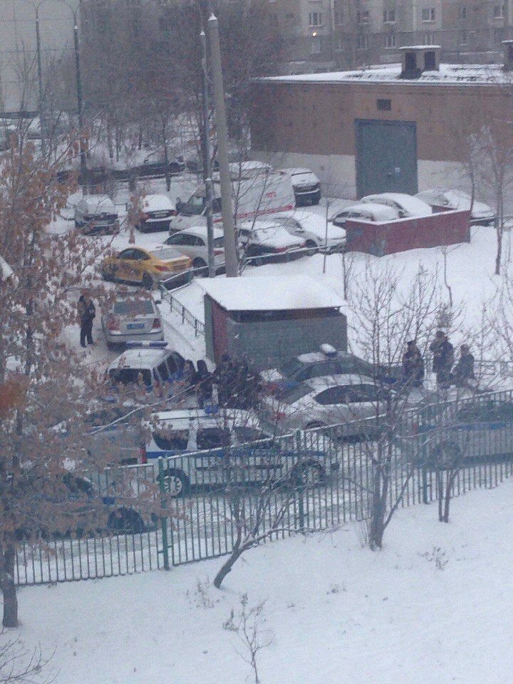 Слишком много возни со школьником с ножом - скрутить и в психушку Слишком много возни со школьником с ножом - скрутить и в психушку