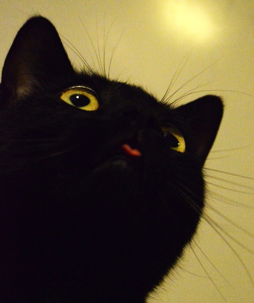 Показываем самый кончик языка.