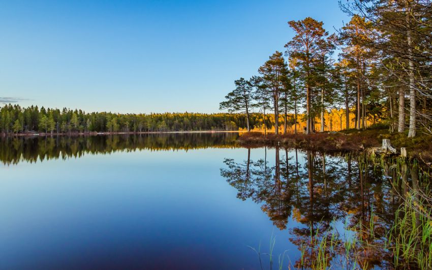  Пейзажи отраженные в воде вода, отражение, пейзажи