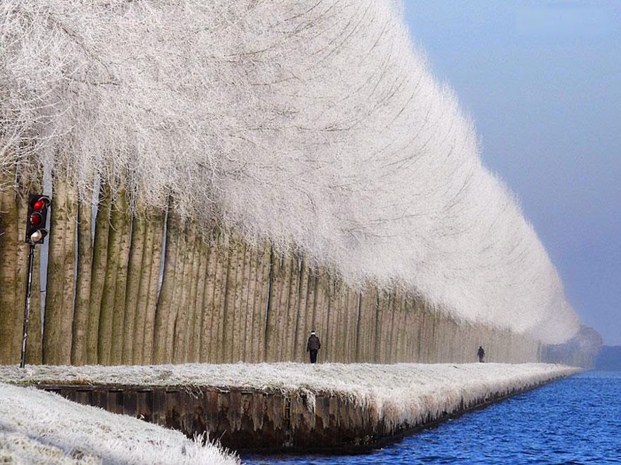 28. Зимний пейзаж в Грабовице, Сербия. без фотошопа, удивительные фотографии, фото