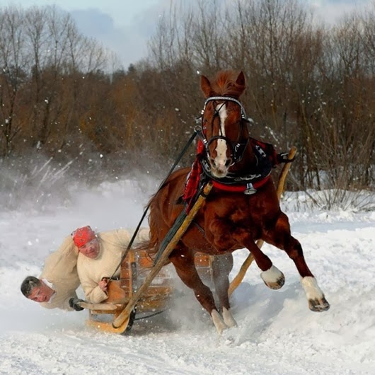 Фотоподборка:За секунду до… интересное, фото