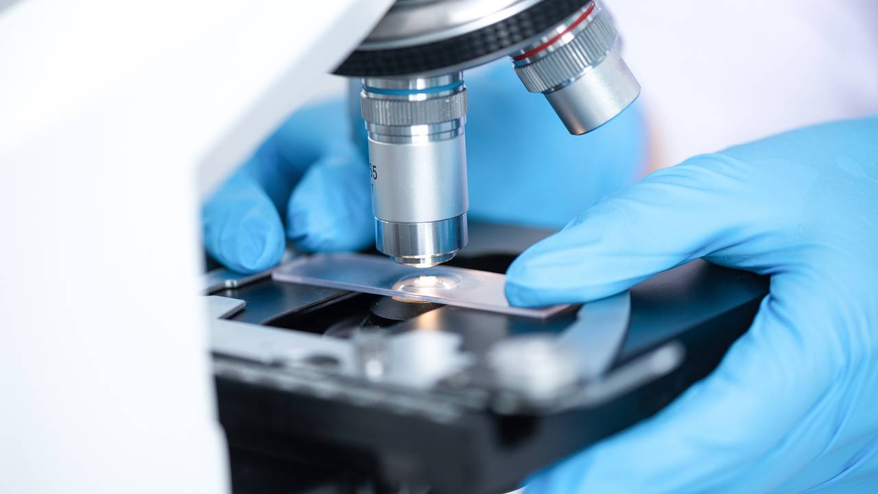 PNAS: прорывная молекула обещает обратить вспять симптомы болезни Альцгеймера