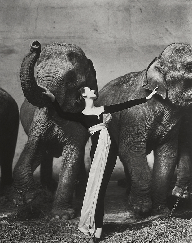 Обнаженная модель со слоном в серии черно-белых фотографий