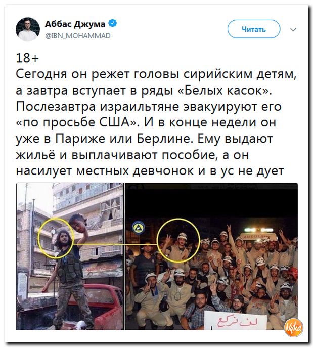 Соцсети жгут! С юмором о злободневном в ехидных скриншотах (политсатира) Соцсети жгут! С юмором о злободневном в ехидных скриншотах (политсатира)