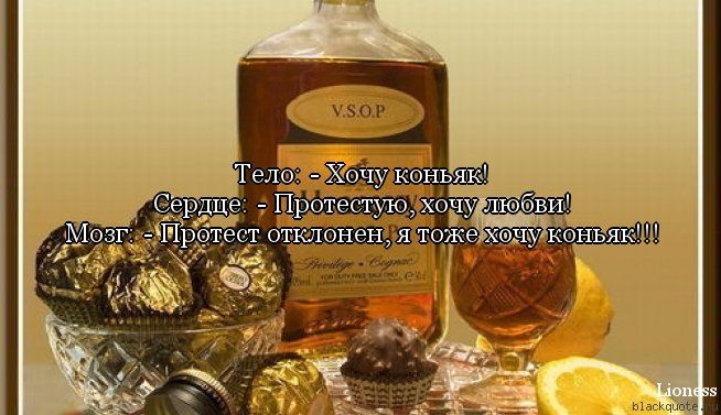 Прикольные цитаты в картинках Прикольные цитаты в картинках