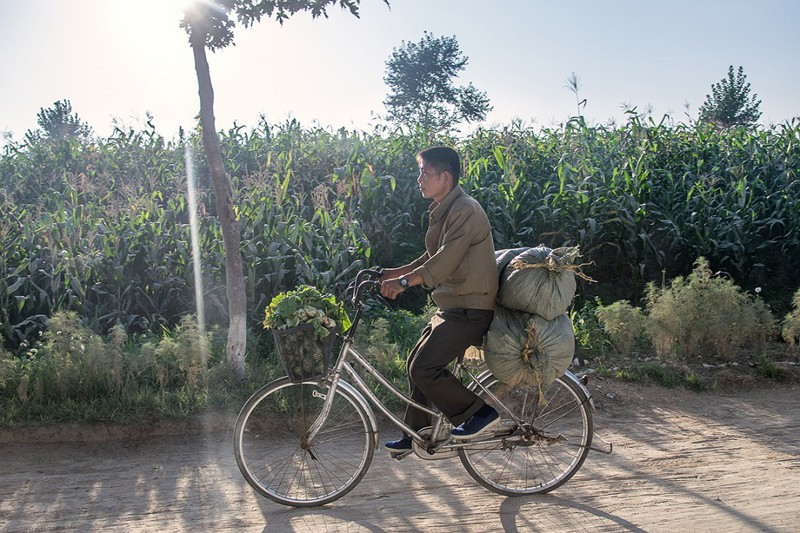 Мужчина везет овощи на своем велосипеде в Нампхо, в 50 км к юго-западу от Пхеньяна жизнь, люди, путешествие, северная корея