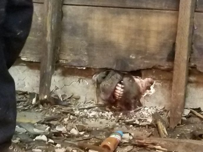 В смертельной западне В смертельной западне