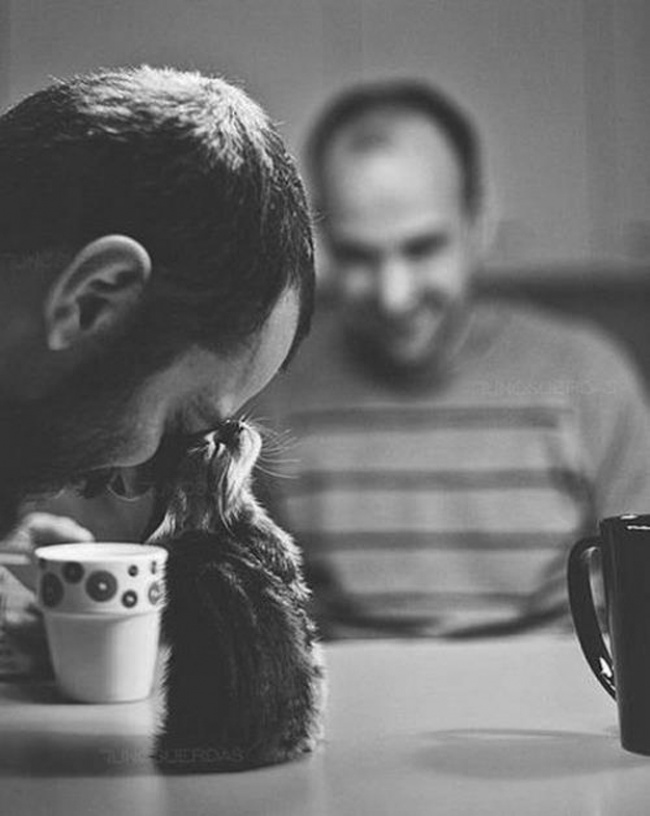 Мы в восторге от котов, потому что… Мы в восторге от котов, потому что…
