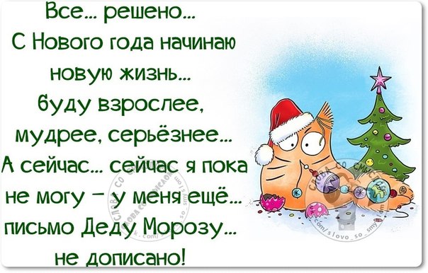 Высказывания про новый год смешные Высказывания про новый год смешные