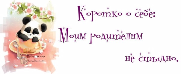 1383158363_frazochki-28 (604x248, 102Kb)