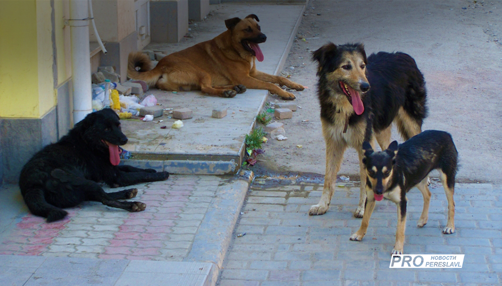 Лютой ненависти псот-обращение Лютой ненависти псот-обращение