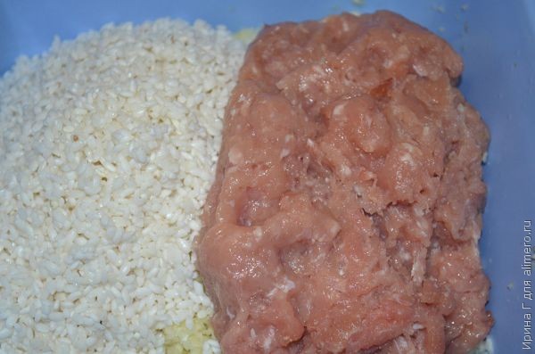 ������� ������� ������