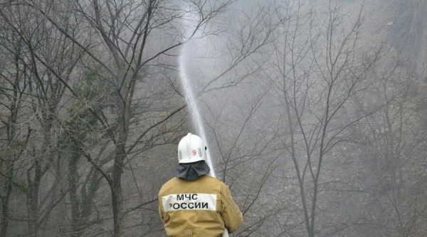 В Крыму потушили лесной пожар