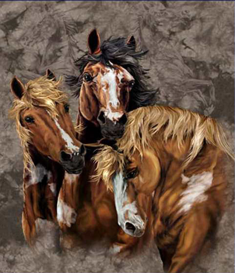 9 лошадей Стивена Гарднера, загадки, картины