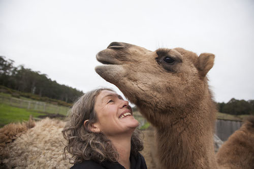 Эмма и верблюд улыбаются друг другу