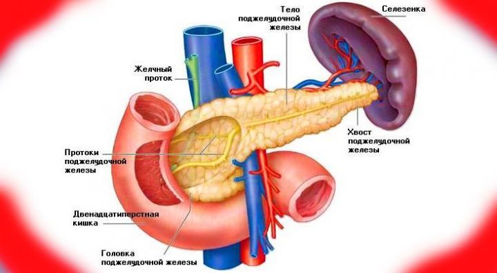 5 простых и эффективных способов очищения поджелудочной железы 5 простых и эффективных способов очищения поджелудочной железы