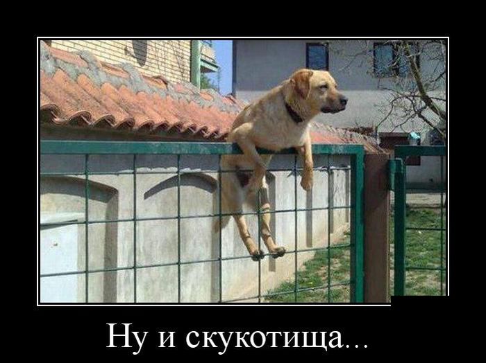 Демотиваторы (30 фото)