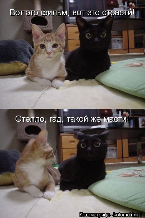 Котоматрицы великолепные, каждая с кусочком тепла, позитива и улыбкой! Котоматрицы великолепные, каждая с кусочком тепла, позитива и улыбкой!