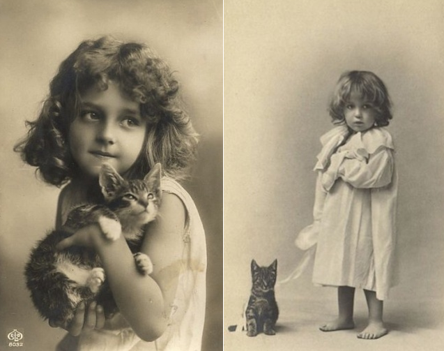 дети и кошки