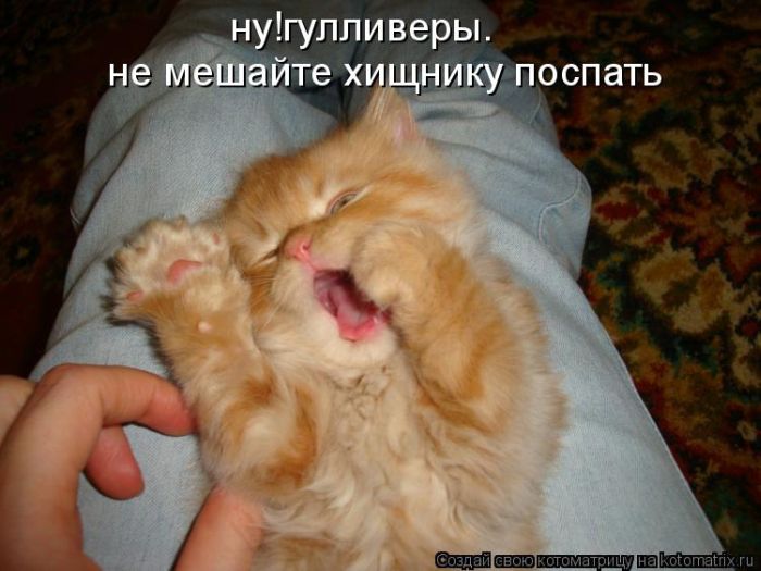 Котоматрицы великолепные, каждая с кусочком тепла, позитива и улыбкой! Котоматрицы великолепные, каждая с кусочком тепла, позитива и улыбкой!
