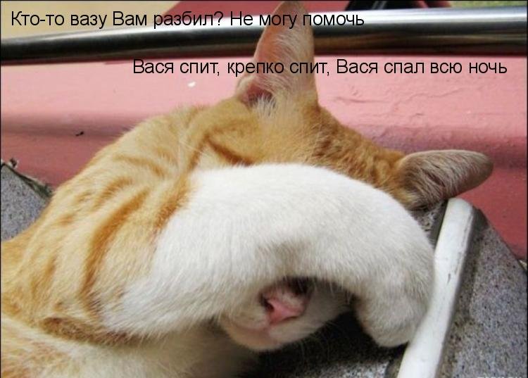 Котоматрица (81 фото)