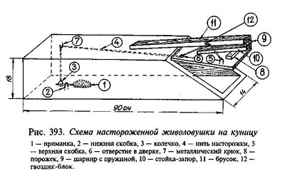 Оригинальное оформление денег на свадьбу своими руками 67