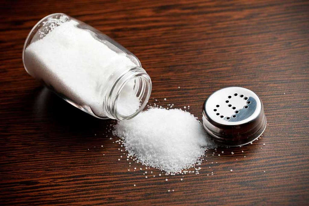 TABLE SALT