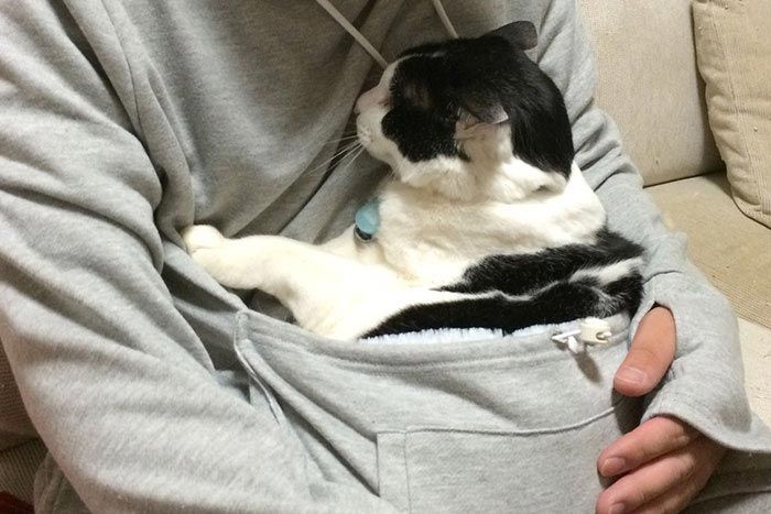 Побудьте кенгуру: толстовка со специальным карманом, которая позволяет брать ваших питомцев с собой в дорогу Побудьте кенгуру: толстовка со специальным карманом, которая позволяет брать ваших питомцев с собой в дорогу