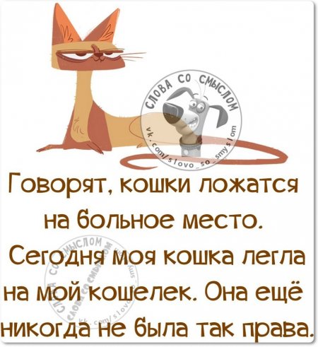 Фразочки, картиночки, позитивчик...