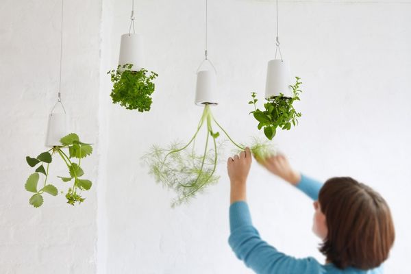 Подвесные конструкции Boskke Sky Planter. Фото с сайта http://www.designtherapy.it Подвесные конструкции Boskke Sky Planter. Фото с сайта http://www.designtherapy.it