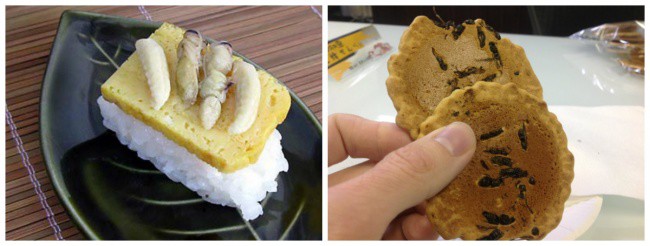 Личинки пчелы, Япония блюдо, еда, люди