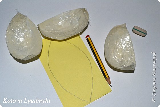dsc_0498 (560x373, 35Kb)