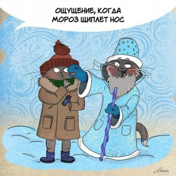 За что следует любить зиму (10 картинок) За что следует любить зиму