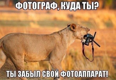   ... !