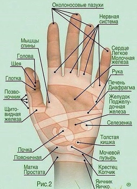 ВОЛШЕБНЫЙ МАССАЖ ПАЛЬЦЕВ РУКИ