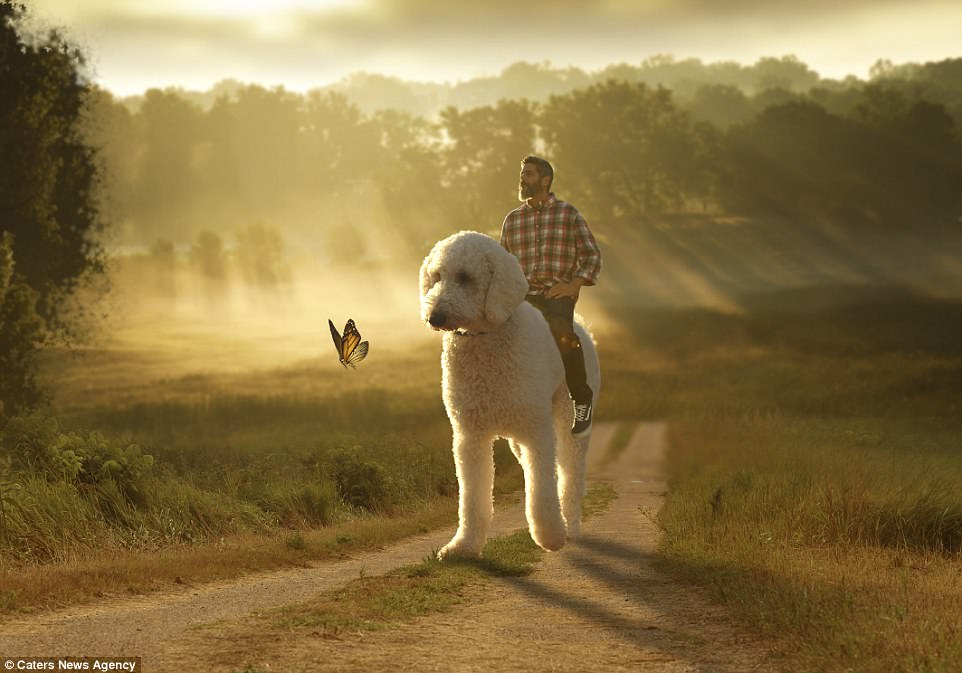 Living the (fake) dream: Thanks to Mr Cline's funny photos, he now has more than 115,000 followers on Instagram