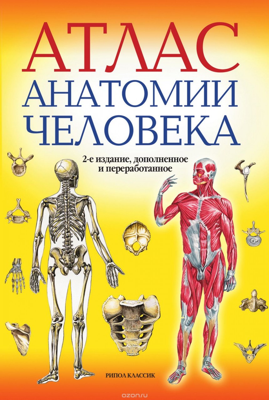 Связать монстер хай Связать монстер хай